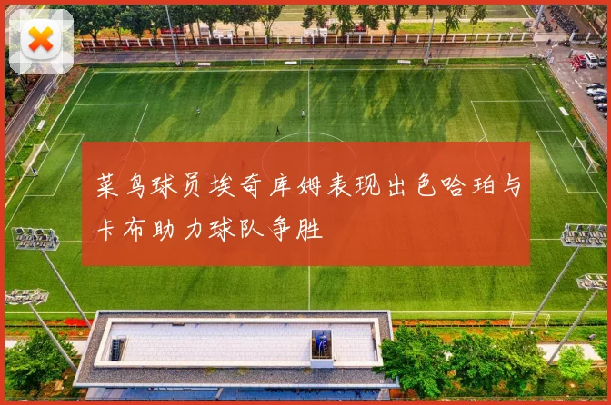 菜鸟球员埃奇库姆表现出色哈珀与卡布助力球队争胜