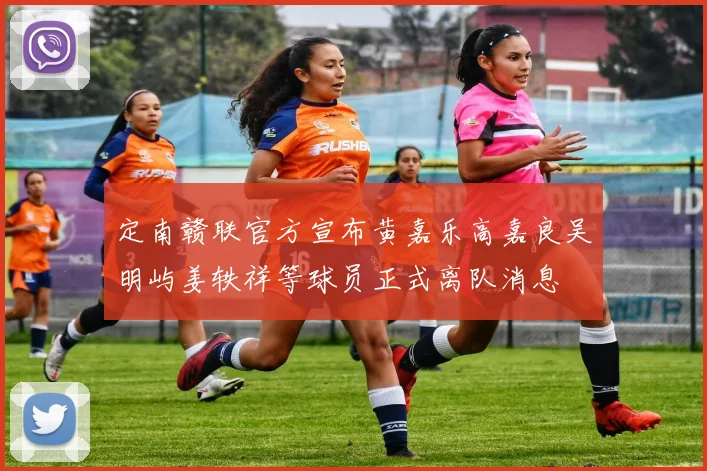定南赣联官方宣布黄嘉乐高嘉良吴明屿姜轶祥等球员正式离队消息